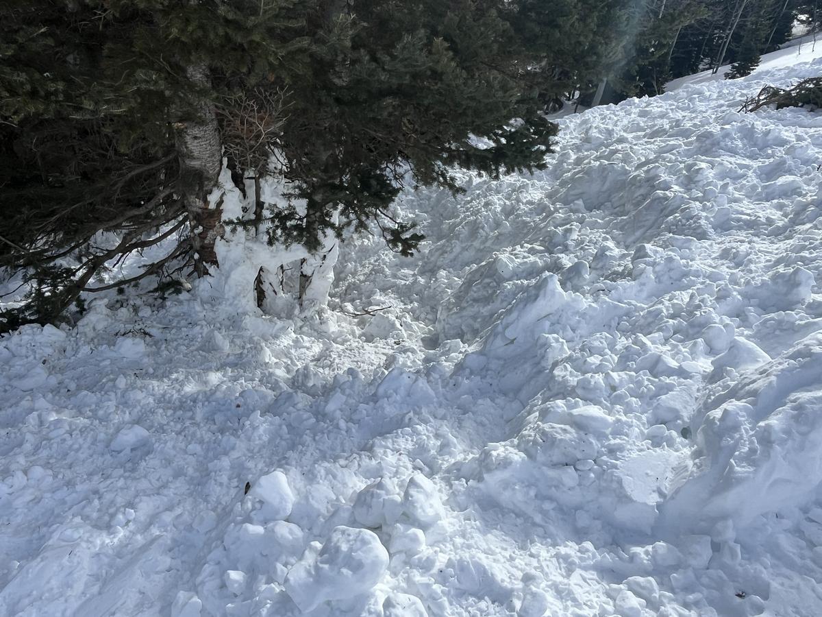 Accident: Monte Cristo - Utah Avalanche Center